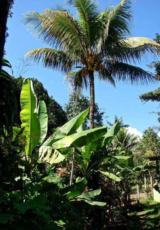 Pousada Villa Da Gama Parati Habitación foto