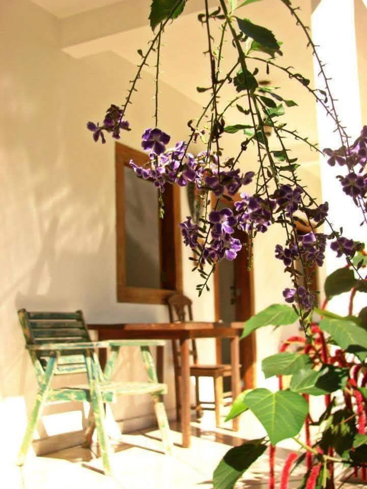 Pousada Villa Da Gama Parati Habitación foto