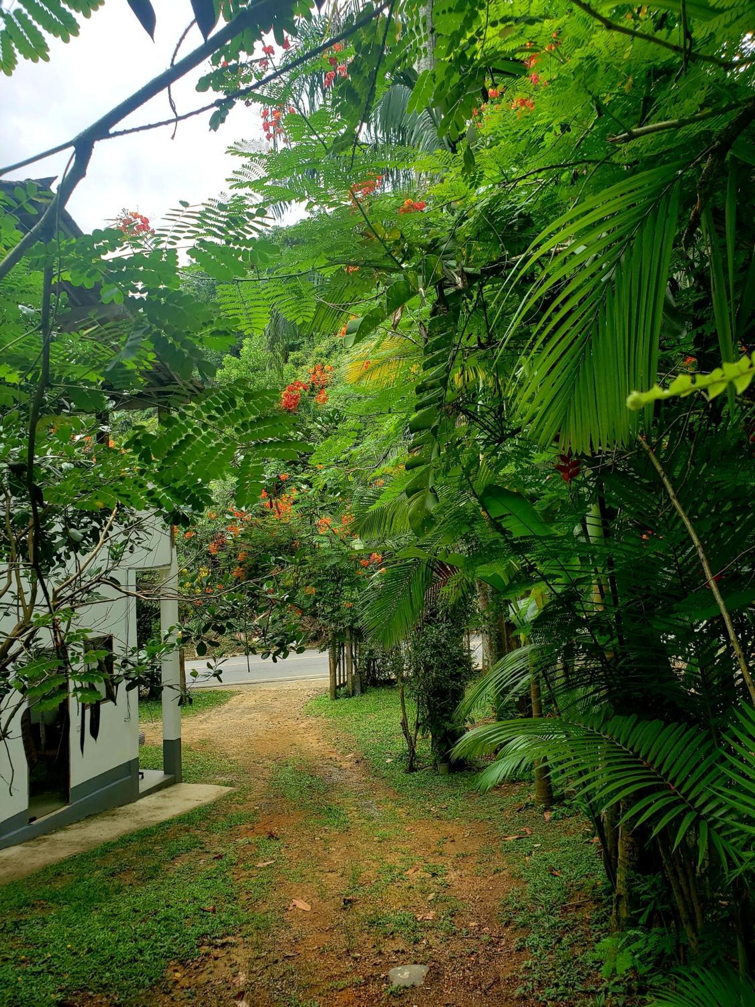 Pousada Villa Da Gama Parati Habitación foto